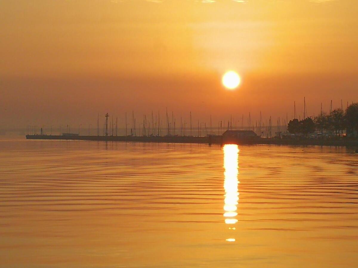 Wire 2018-10-17 at 11_01 AM