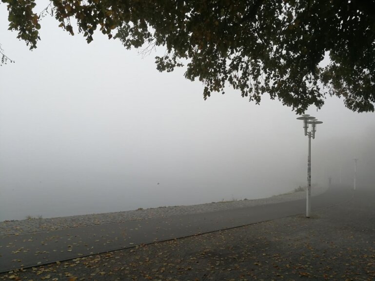 Wire 2018-10-24 at 12_12 PM