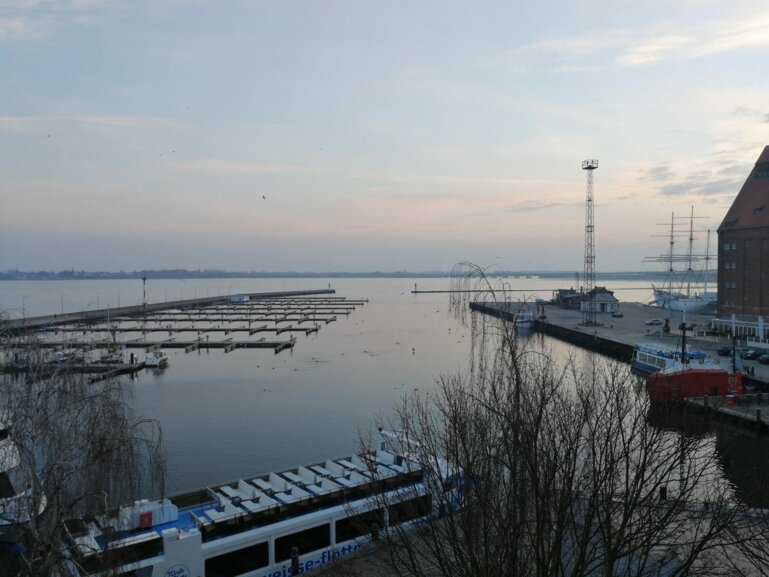 Wire 2018-12-17 at 8_30 AM