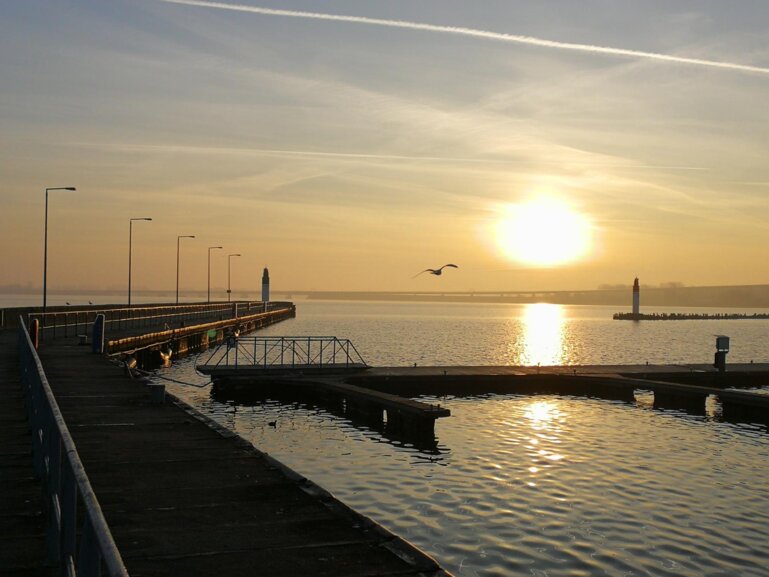 Wire 2019-02-18 at 8_341 AM