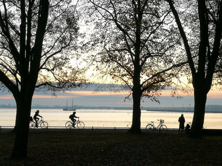 Wire 2019-10-22 at 7_532 AM