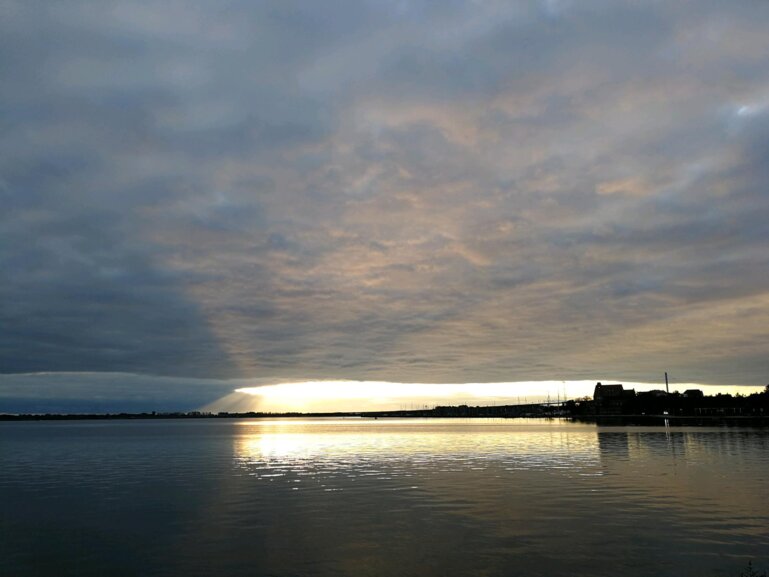 Wire 2019-10-04 at 7_57 AM